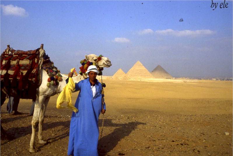 Cartolina Egitto, di Maria Rapisardi